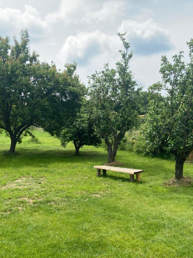 Holiday Home Znojmo W/ Wellness & Wine المظهر الخارجي الصورة